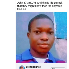 Efeakpokrire Joshua-Freelancer in Delta State, Nigeria.,Nigeria