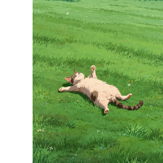 Tensen Bread-Freelancer in Kochi,India