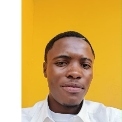 Eliseu Pembele-Freelancer in N'dalatando,Angola