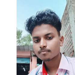 Sk Boss-Freelancer in Poaria,India