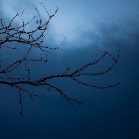 Arjun-Freelancer in Coimbatore,India