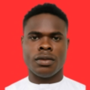 Marvel Dav-Freelancer in Lekki,Nigeria