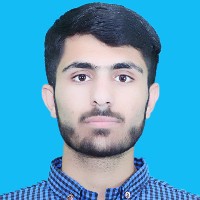 Shabbir Hussain-Freelancer in Danyor,Pakistan