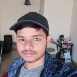 Parth Wighe-Freelancer in Pune,India