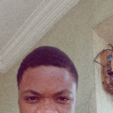 Adeniyi Joshua-Freelancer in Abuja,Nigeria