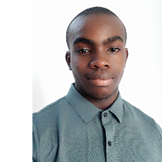 Ezenwa Chidera Emmanuel-Freelancer in Surulere,Nigeria