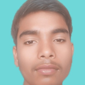 Avinash Nishad-Freelancer in kerakat,India