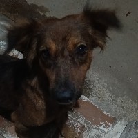 Riya Vyas-Freelancer in Ahmedabad,India