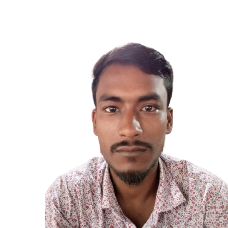 Ahsanul Hoque Ruman-Freelancer in Sreebardi,Bangladesh