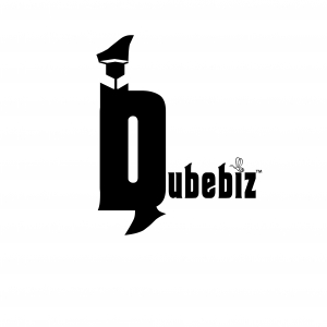 Qubebiz IT SERVICES -Freelancer in Ahmedabad,India