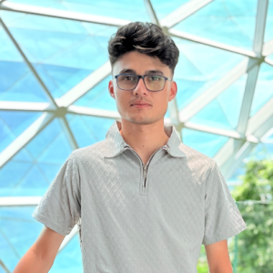 Hasnain Altaf Abbasi-Freelancer in Kayseri,Turkey