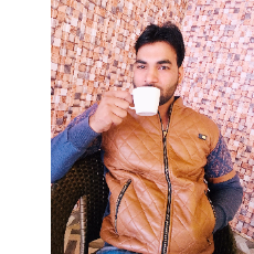 Aarif Khan-Freelancer in Sawai Madhopur,India