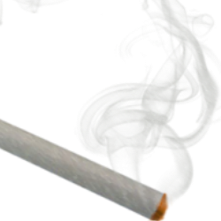 Abhinab Shukla-Freelancer in Bhubaneswar,India