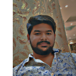 Rishav Raj-Freelancer in Greater Noida,India