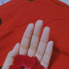 Fatima nuzhat-Freelancer in Lucknow,India