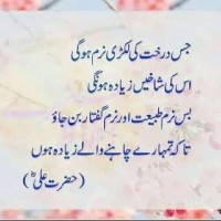 Samia Nawaz-Freelancer in Okara,Pakistan