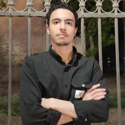 Ali Ashour-Freelancer in Assuit,Egypt