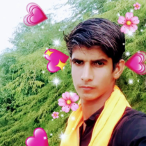 Dharmendra Bagariya-Freelancer in Sikar,India