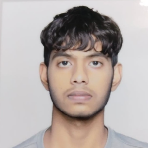 Udit Dewangan-Freelancer in Phagwāra,India