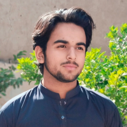 Awais Khan-Freelancer in Dera Ismail Khan,Pakistan