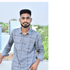 Rakesh Paliwal-Freelancer in Sikar,India