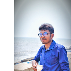 Pronoy Sarkar-Freelancer in Kolkata,India