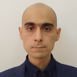 Hamed Gholami-Freelancer in ,Canada