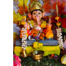 Payal Pathak-Freelancer in Parbhani,India