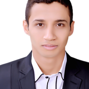 Ahmed Hussien-Freelancer in ,Egypt