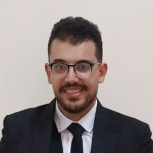 Mahmoud Elshrnobey-Freelancer in ,Egypt