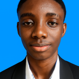 Destinydigital Solutions-Freelancer in Ikeja,Nigeria