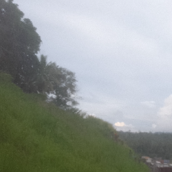 Dave Eli-Freelancer in Port Moresby,Papua New Guinea