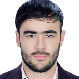 Ghulam Hazrat Sultani-Freelancer in Kabul,Afghanistan