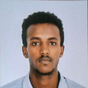 Tewodros Mesafent-Freelancer in Addis Ababa,Ethiopia