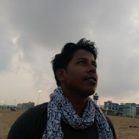 Sibashis Barik-Freelancer in ,India