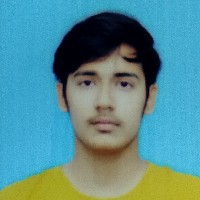 Ankit Rajput-Freelancer in Moradabad Division,India