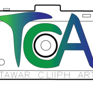 Tawarcliiphart Tca-Freelancer in Indore,India
