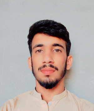 Pervaiz Hassan-Freelancer in Kamalia,Pakistan