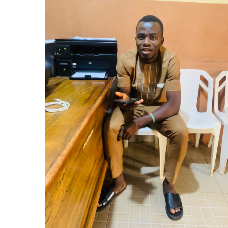 Nelson.O-Virtual Assistant & Data Entry-Freelancer in Minna,Nigeria