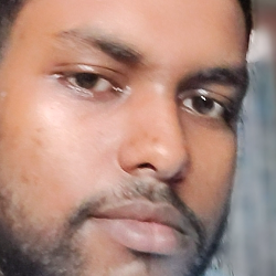 Rudra pratap Adhikary-Freelancer in punskura,India