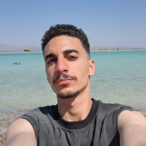 Yasser Samir-Freelancer in Ismailia,Egypt