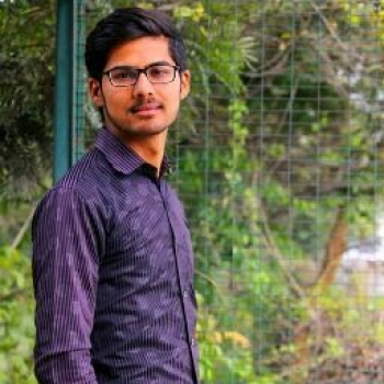 Rajan Walia-Freelancer in ,India