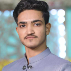 Majid Ali-Freelancer in Rawalpindi,Pakistan