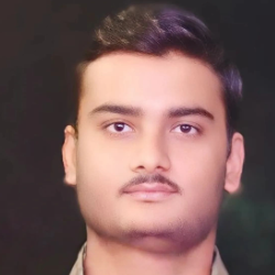 Kumar Anubhav-Freelancer in Alimudinpur,India