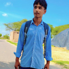 BhimSain-Freelancer in Harayana, sirsa,India