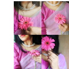 Saniya Khan-Freelancer in Amravati,India