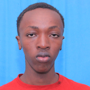 Henry Mwangi-Freelancer in Nduini,Kenya