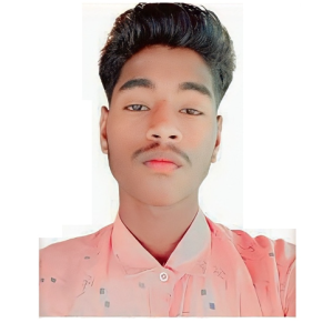 Sateesh Kushwaha-Freelancer in Sidhi,India