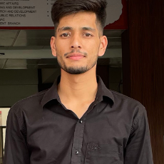 Mudasir Javid Malik-Freelancer in Banihal,India