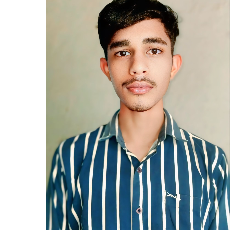 Danish Ahmad-Freelancer in Satpedia Mafi,India